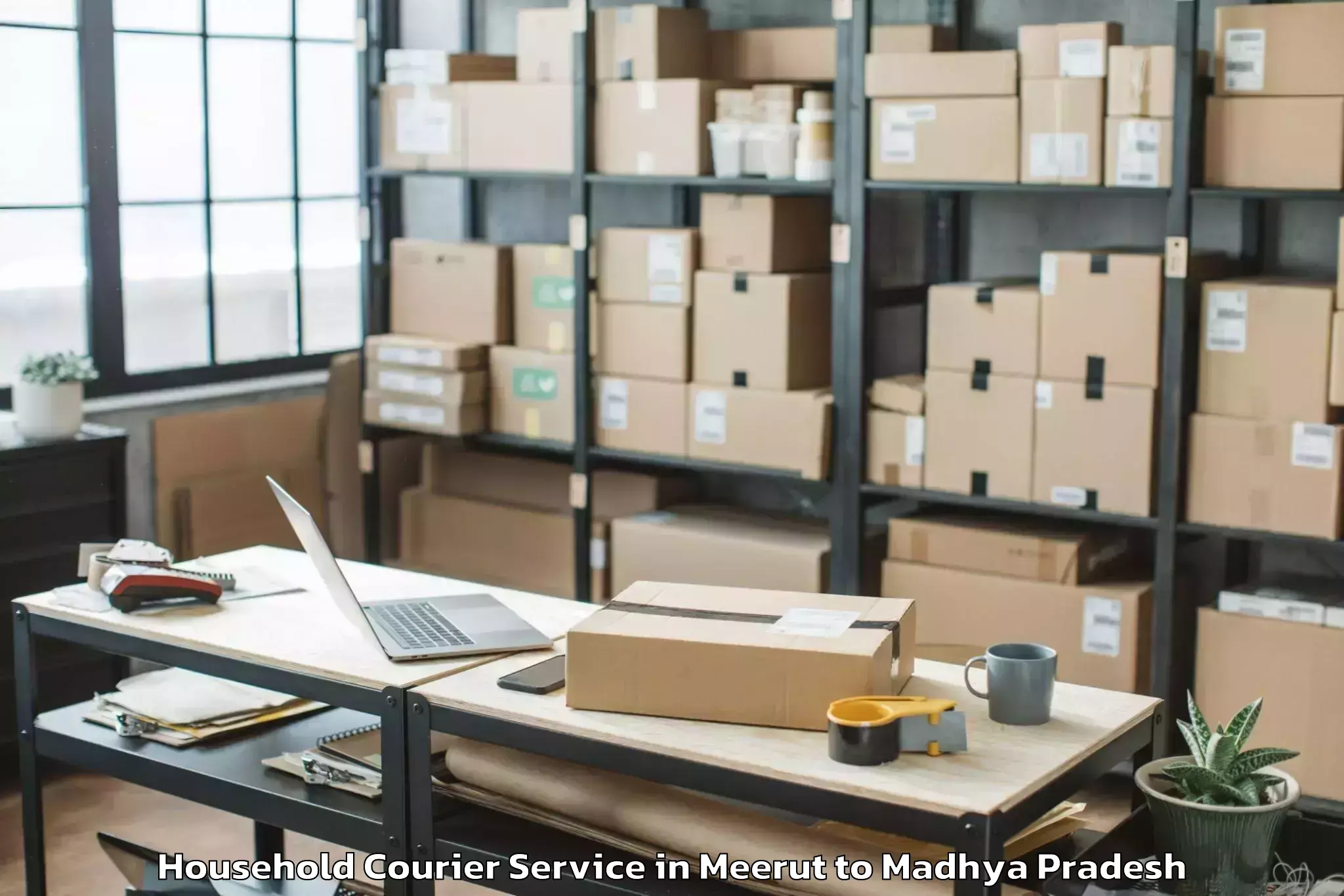 Book Meerut to Kutauli Household Courier Online